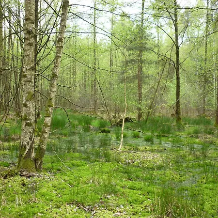 Haus Am Sandsteinbruch Zaberfeld