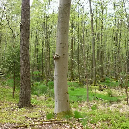 Haus Am Sandsteinbruch Appartement *