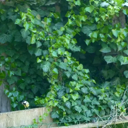 Haus Am Sandsteinbruch Appartement *