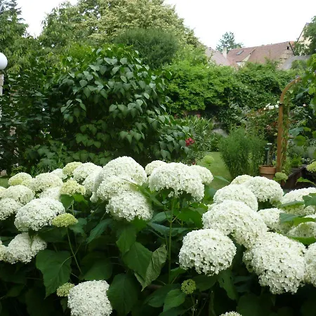 Appartement Haus Am Sandsteinbruch Zaberfeld
